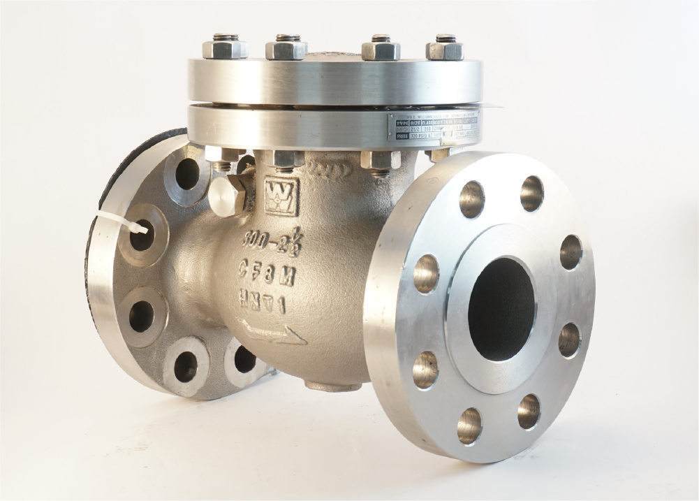 Check Valves Check Valves